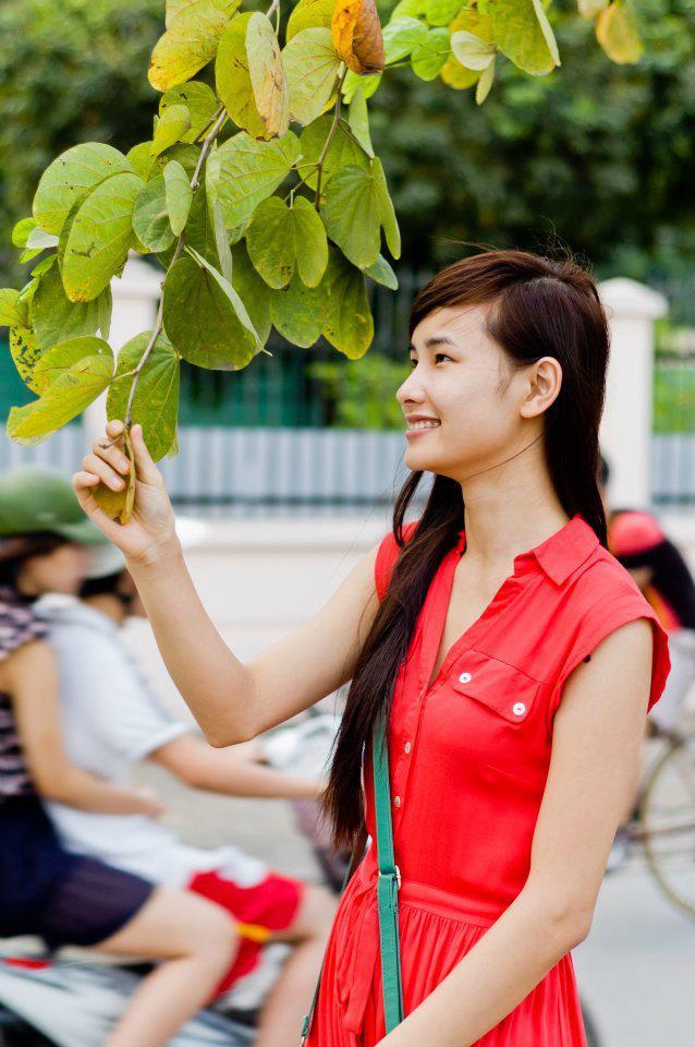 唐宫美人天下电视剧